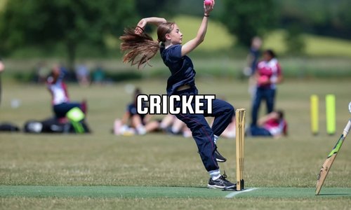 Cricket